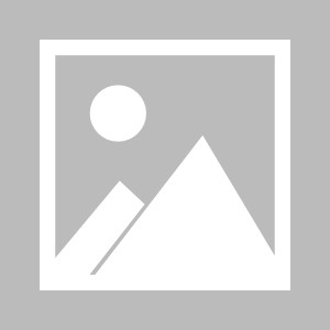 开云体育平台-哈登式新星闪耀，公牛复兴曙光已现，哈登式新星闪耀风城，公牛复兴曙光已现